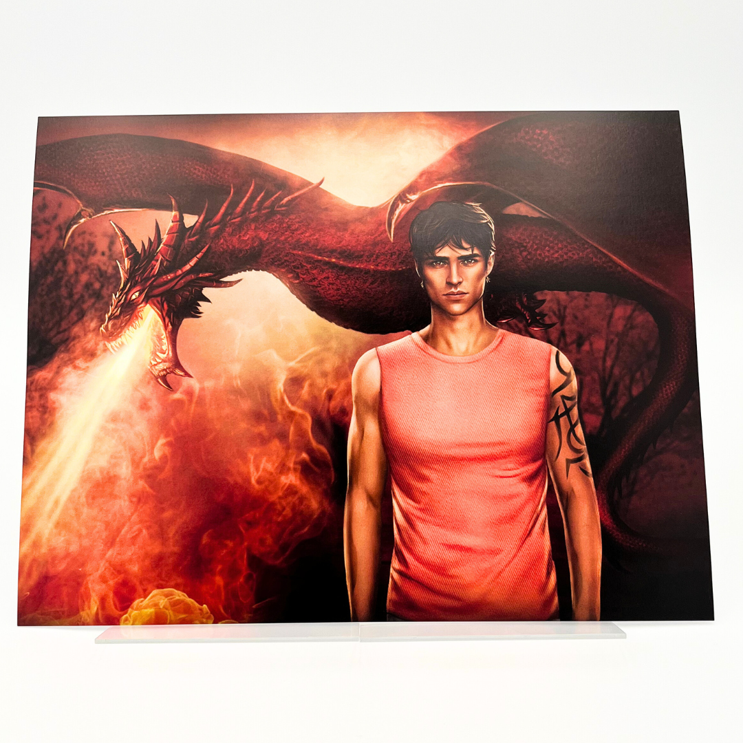 Exclusive Dragon Kings Complete Series Gift Box